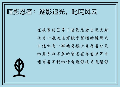 暗影忍者：逐影追光，叱咤风云